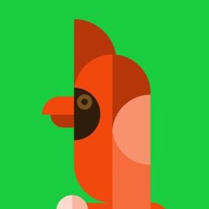 Bradley Abel profile picture