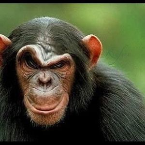 Flei profile picture