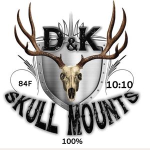 D&K Skull Mounts by Atvrider