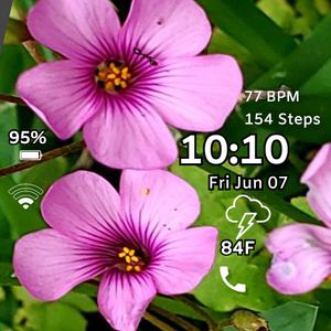 Pink Flower 3 by MJS Designs