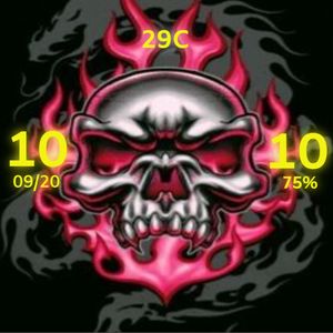 Skull 4 by Looney