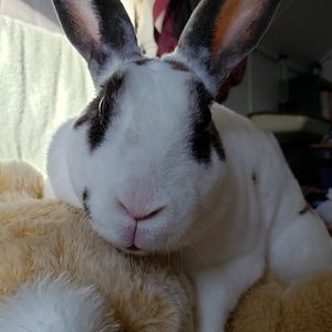 Mike profile picture