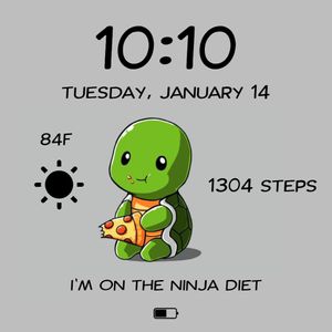 Ninja Diet by Wila