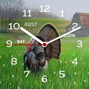 Turkey Strut by Atvrider