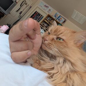 Enoch profile picture