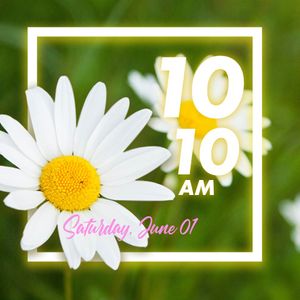 Floraison Daisies by VAYDER