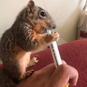Travis Smithlin profile picture