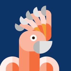 Joppe profile picture