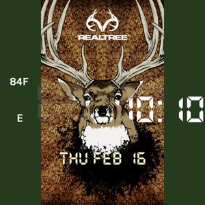 Realtree deer by Atvrider