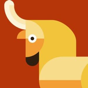 Amanda Cook profile picture