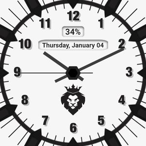 Alpha Lion: Modern Display by Alpha Lion by Pulinckx