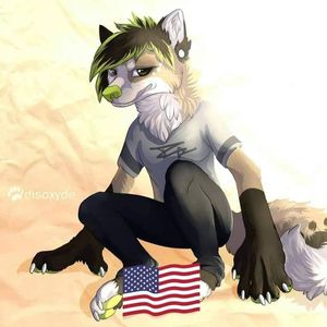Matt Howell profile picture