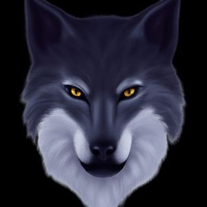 Darkwolf profile picture