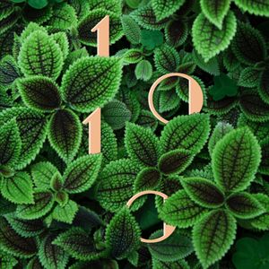 Courtyard 03 - Coleus by tr0n09