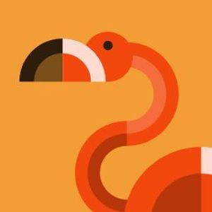 Gayle Davis profile picture