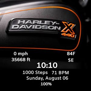 Harley Davidson X440 by Vishwa S