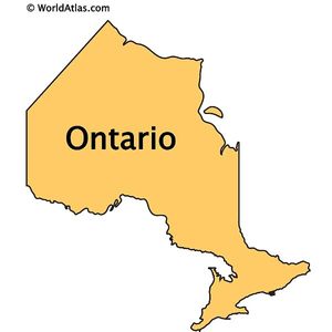 Canadian Designer profile picture