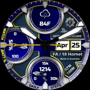 RAAF FA / 18 Hornet by Hosfam Designs