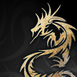 whitedragon profile picture