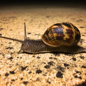 didier profile picture