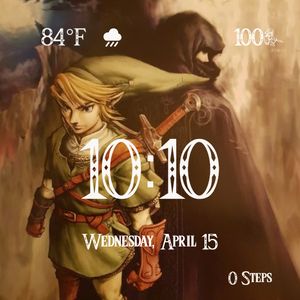 Zelda Twilight 1 by rich