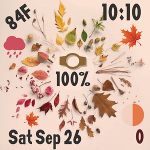 seasons of life (SQ ONLY) by Alison C