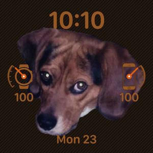 Roscoe by Gizmo411