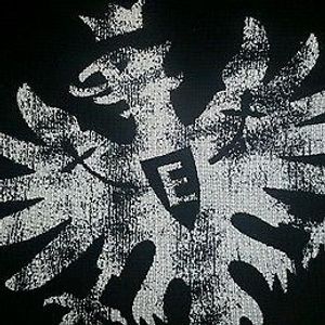 welpert profile picture