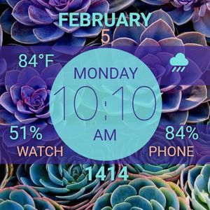 Teal Purple Succulents by plaidv
