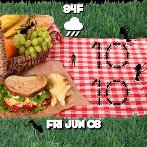 7/4 Picnic - Ant E 1 4 Pie? by Cth42
