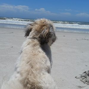RTS533 profile picture