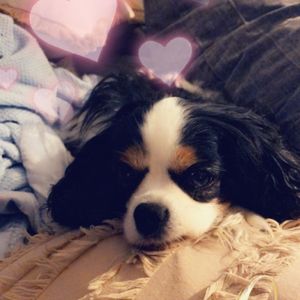 Mimzy profile picture