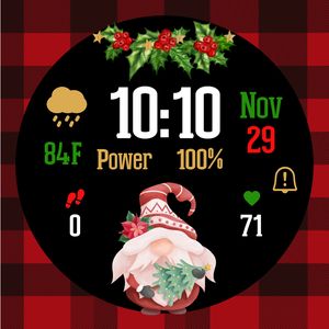 A Gnome Holiday by The Fitbit Gal™️