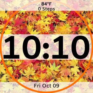 Fall Essentials by Elyk