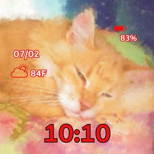 Sleeping Cat 01 by MJS Designs