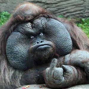 jessa profile picture