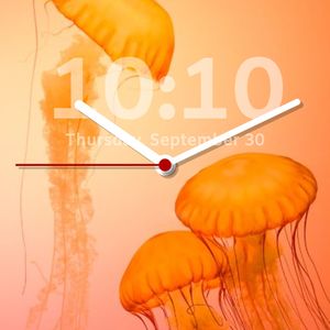 Jellyfish by Ariel