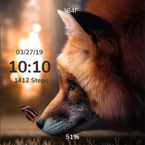 Fox And Butterfly by manadela43