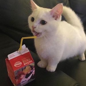 maddy profile picture