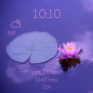nénuphar lotus by Zosala