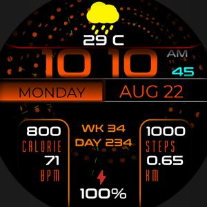 WF 559 by Timelines