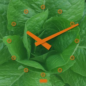 Greenery by Erin McCollum