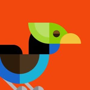 orangeisnon profile picture