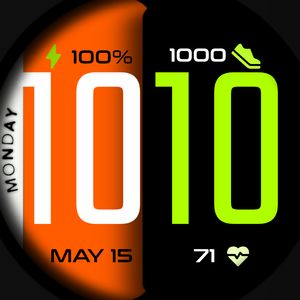 WF 1016 by Timelines