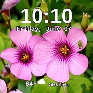 Pink Flower 2 by MJS Designs