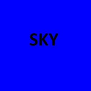 SKY profile picture