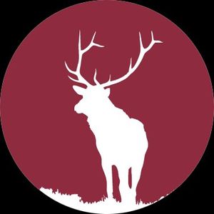 LetsDream profile picture