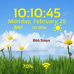 Summer Daisies by Watches by Kaci