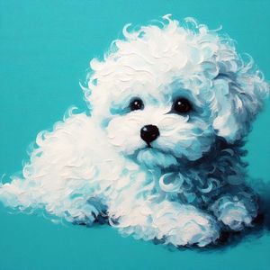 Lu Co profile picture