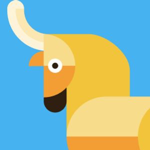 Steve profile picture